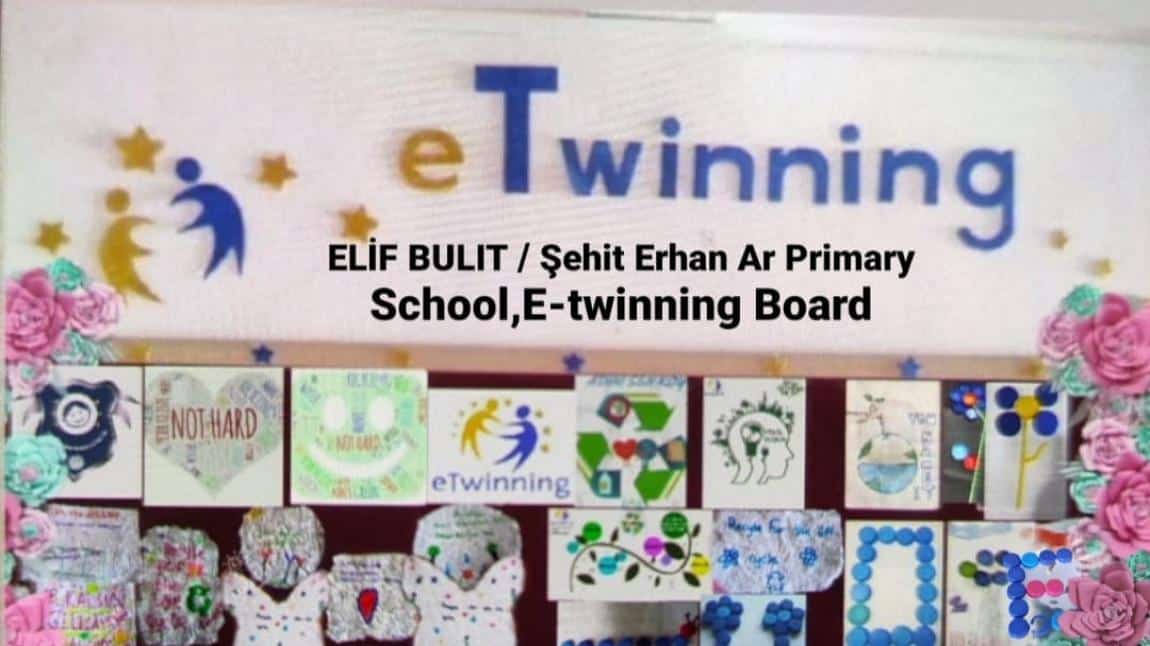 ELİF BULUT/ E-Twinning Projesi Adını Sen Koy!  (You Name It!)
